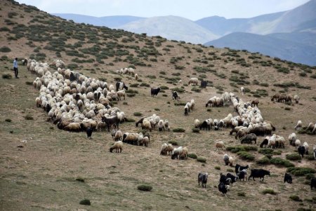 UversitySkateboards25