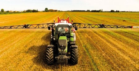 UversitySkateboards25