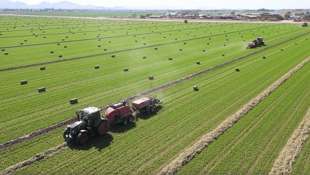 UversitySkateboards25