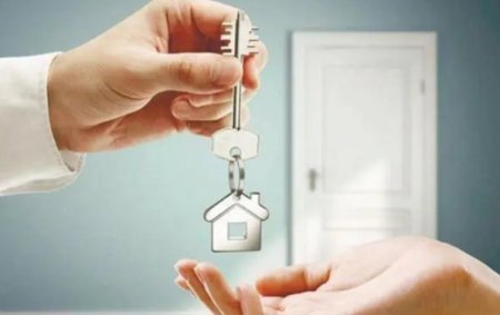 UversitySkateboards25