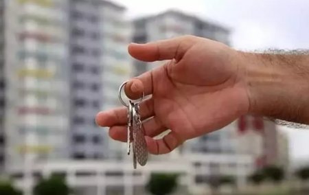 UversitySkateboards25