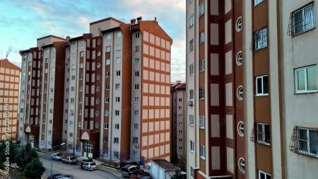 UversitySkateboards25