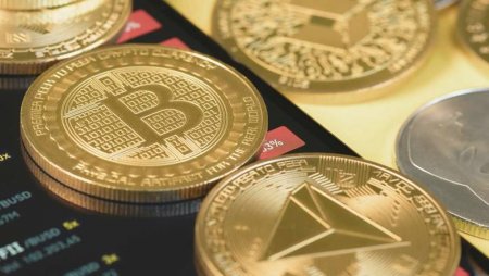 UversitySkateboards25