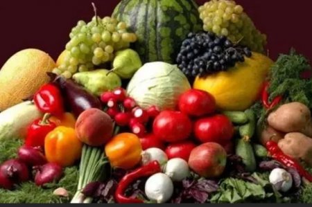 UversitySkateboards25