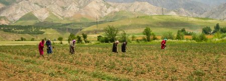 UversitySkateboards25