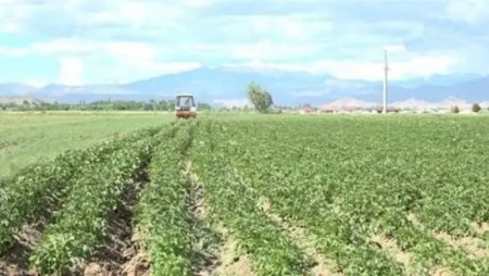 UversitySkateboards25