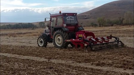 UversitySkateboards25