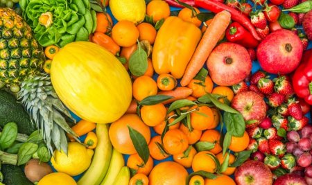 UversitySkateboards25