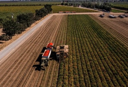 UversitySkateboards25