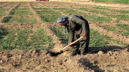 UversitySkateboards25