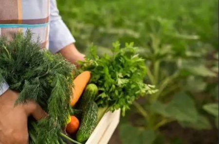 UversitySkateboards25