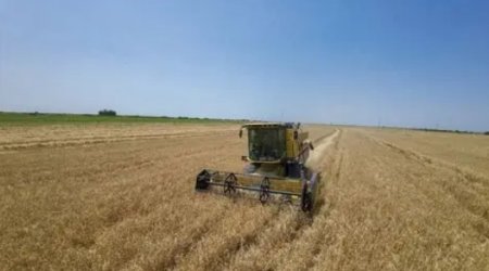 UversitySkateboards25