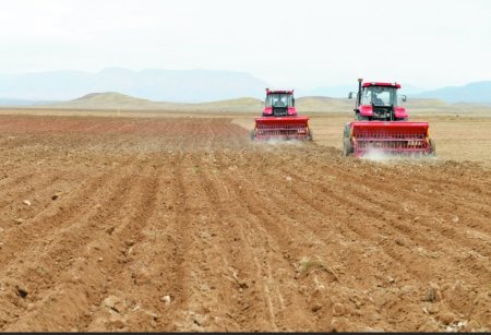 UversitySkateboards25