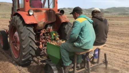 UversitySkateboards25