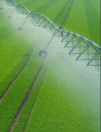 UversitySkateboards25