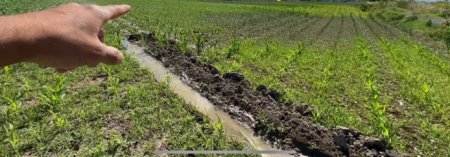 UversitySkateboards25