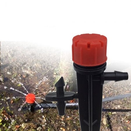 UversitySkateboards25