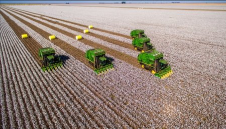 UversitySkateboards25