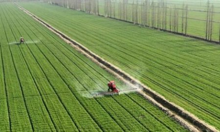 UversitySkateboards25