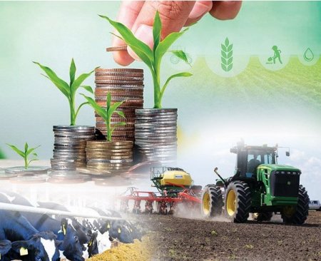 UversitySkateboards25