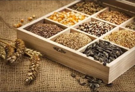 UversitySkateboards25