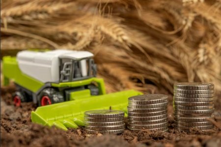 UversitySkateboards25