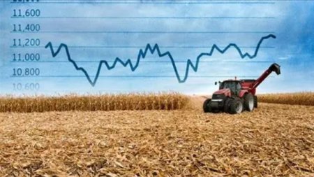 UversitySkateboards25