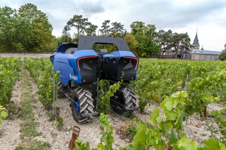 UversitySkateboards25