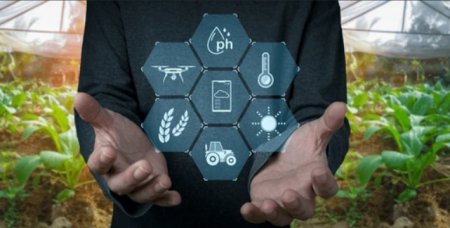 UversitySkateboards25