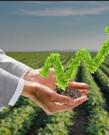 UversitySkateboards25