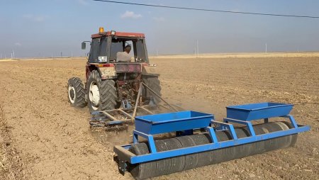 UversitySkateboards25