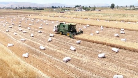 UversitySkateboards25