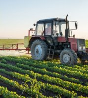 UversitySkateboards25