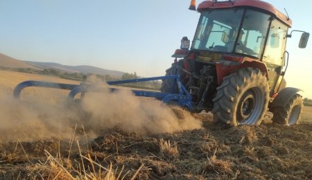 UversitySkateboards25