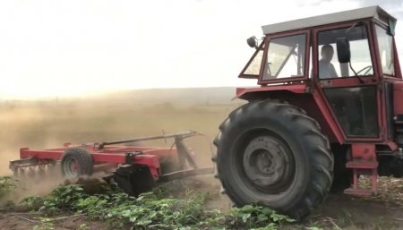 UversitySkateboards25