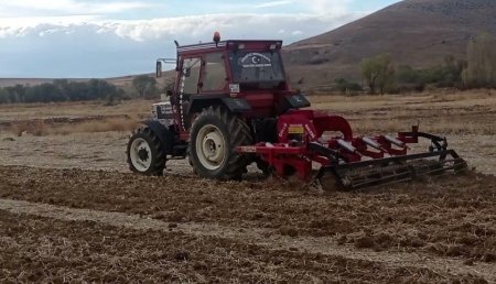 UversitySkateboards25