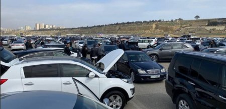 UversitySkateboards25