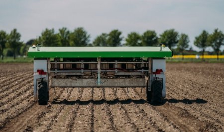 UversitySkateboards25