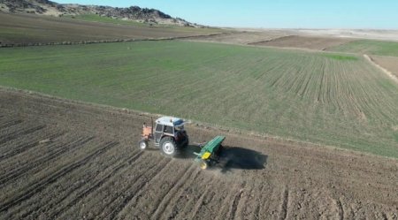 UversitySkateboards25