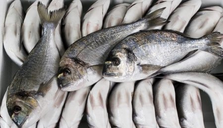 UversitySkateboards25