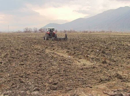 UversitySkateboards25