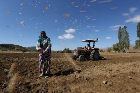 UversitySkateboards25