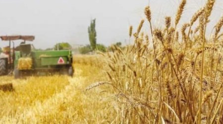 UversitySkateboards25