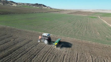 UversitySkateboards25