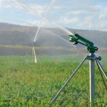 UversitySkateboards25