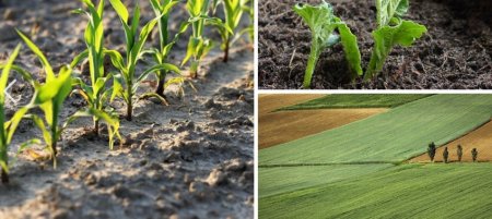 UversitySkateboards25