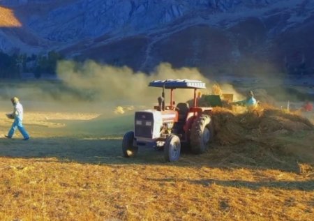 UversitySkateboards25