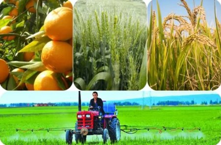 UversitySkateboards25