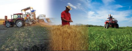 UversitySkateboards25