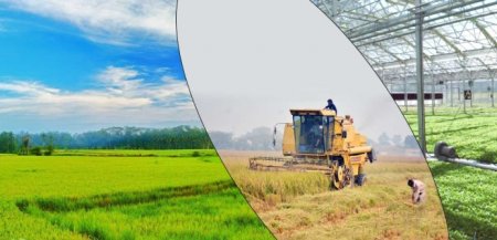 UversitySkateboards25